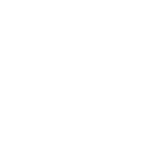 icon-ser8