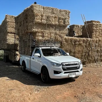Pickup-Truck