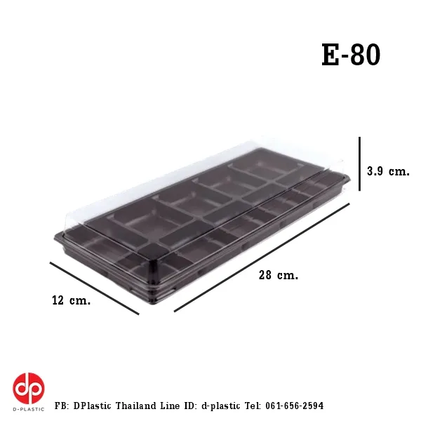 E80-1