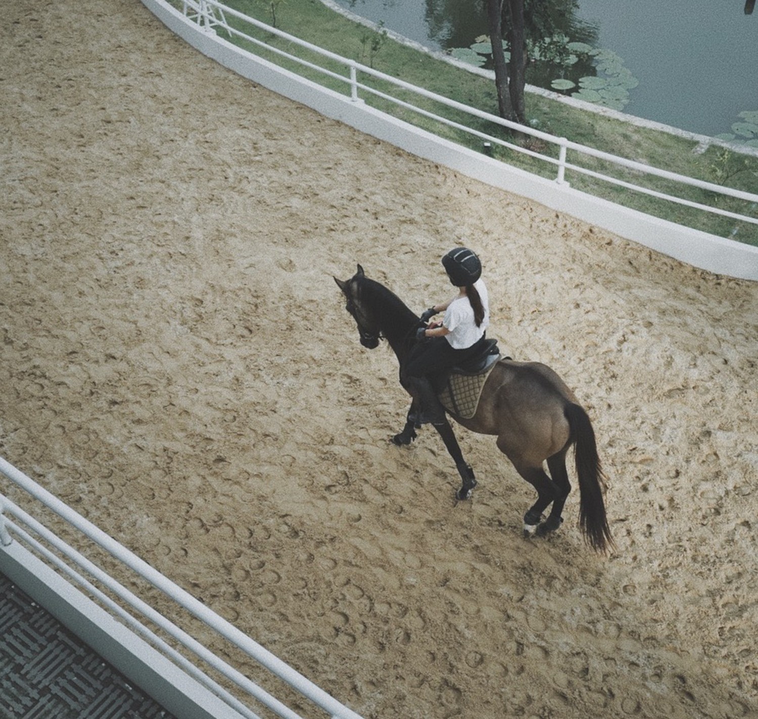 The-Hay-Arena
