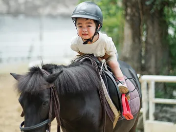 Horse-Riding(5)-1