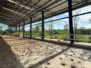 The-Hay-Arena(2)
