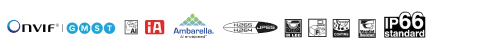 Full-66--Bullet