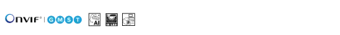 small-Bullet