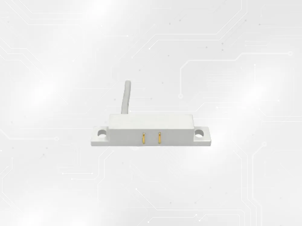 WS-01(2)