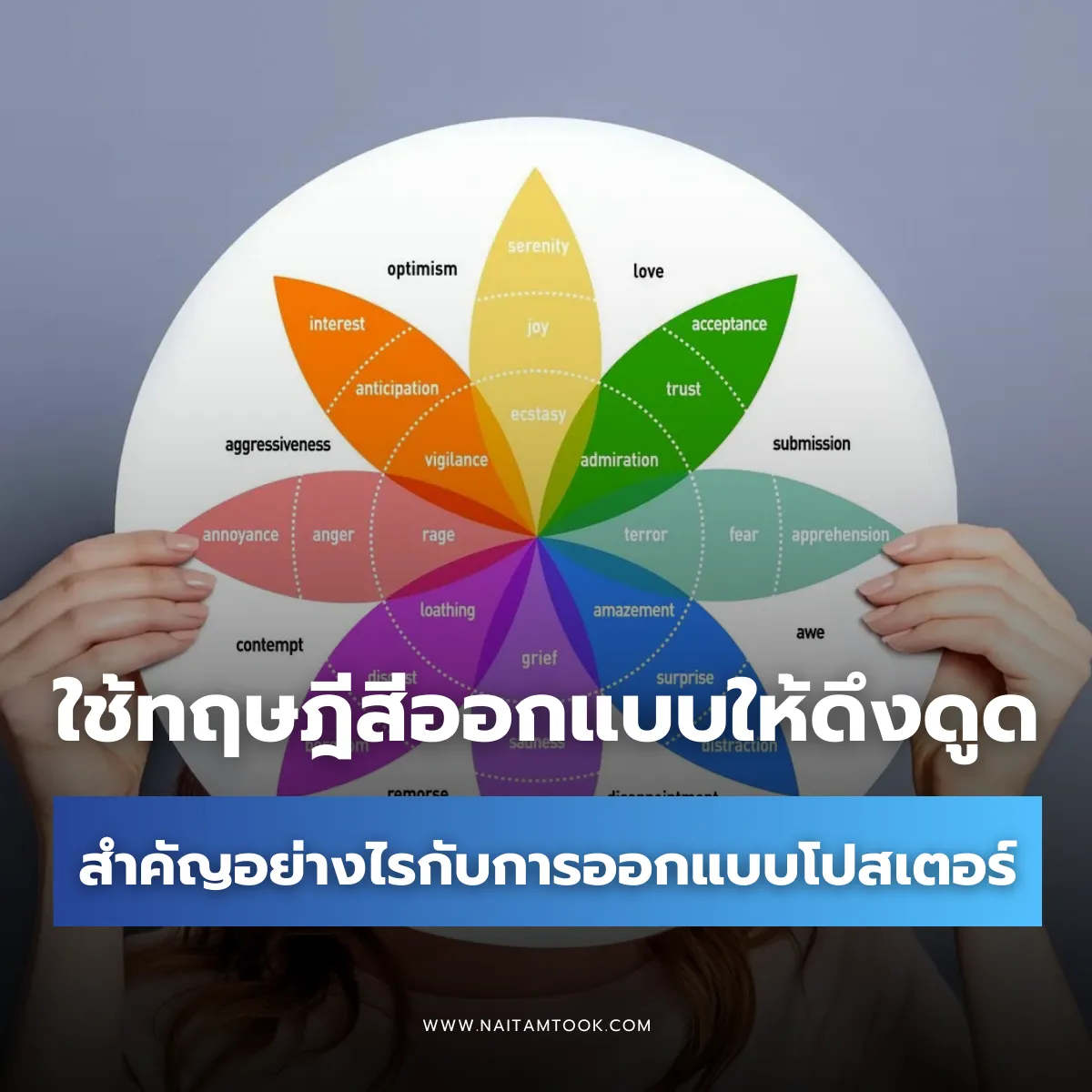 ทฤษฎีสีสำคัญยังไงกับการออกแบบโปสเตอร์ให้สะดุดตา