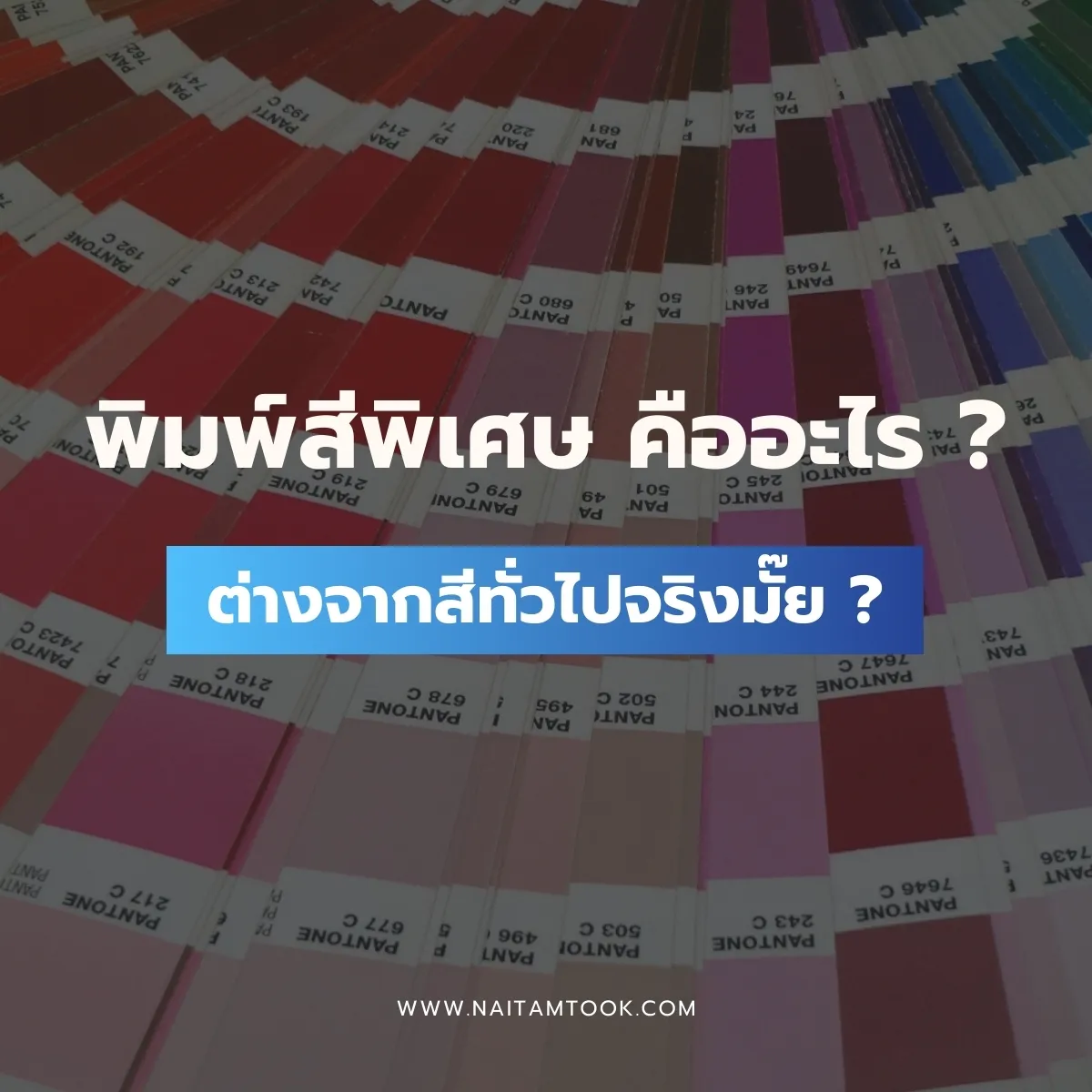 พิมพ์สีพิเสษคืออะไรต่างจากสีทั่วไปไหม(1)