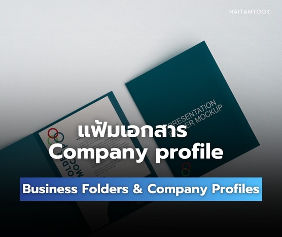 ผลงานแฟ้มและcompanyprofile
