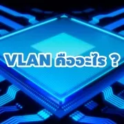Vlan-180x180-1
