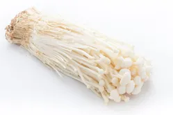 เห็ดเข็มทอง2