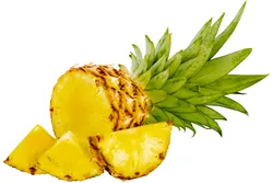 %E0%B8%AA%E0%B8%B1%E0%B8%9A%E0%B8%9B%E0%B8%B0%E0%B8%A3%E0%B8%941