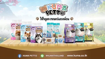 page-wep-kuma-thailand-petto