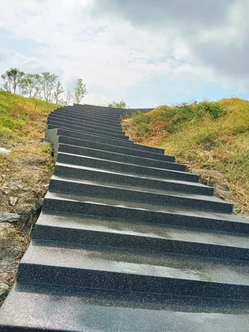 IMG3576