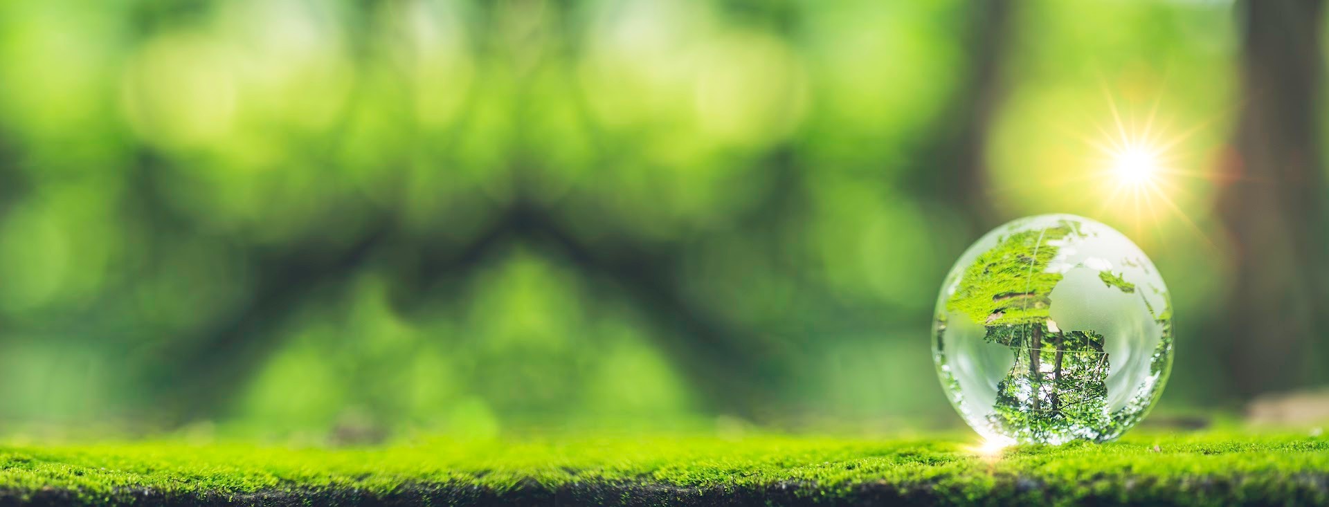 sustainbility
