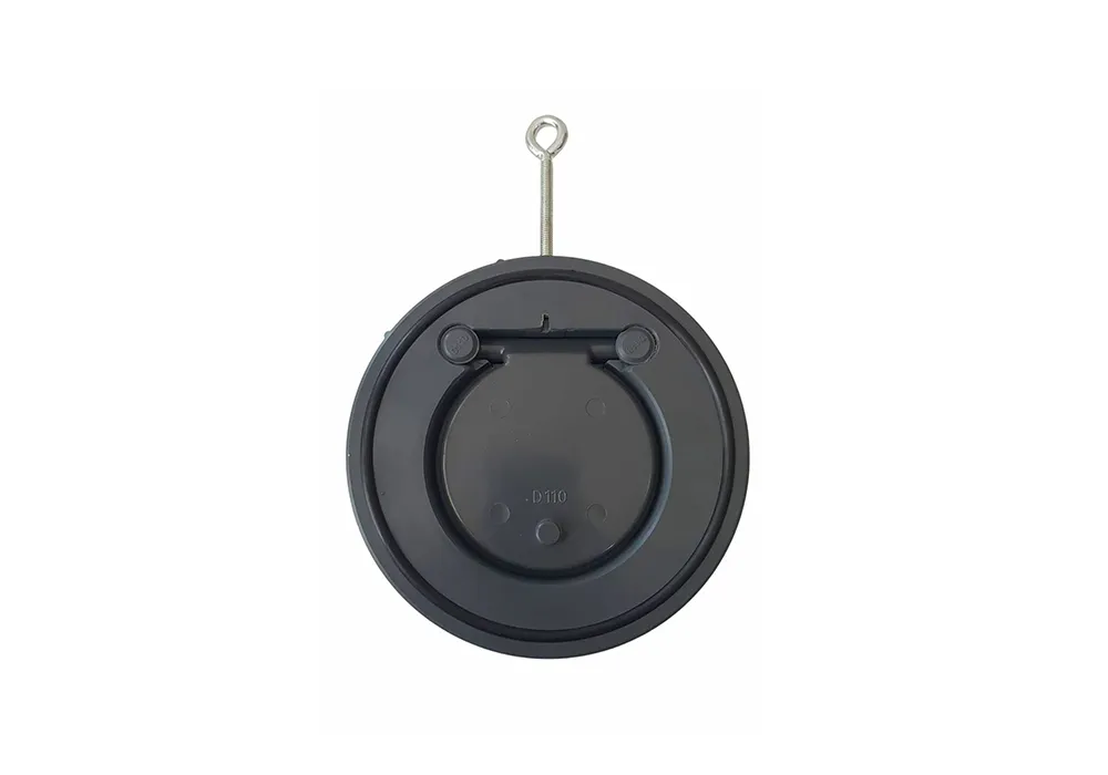 28-Wafer-Check-Valve