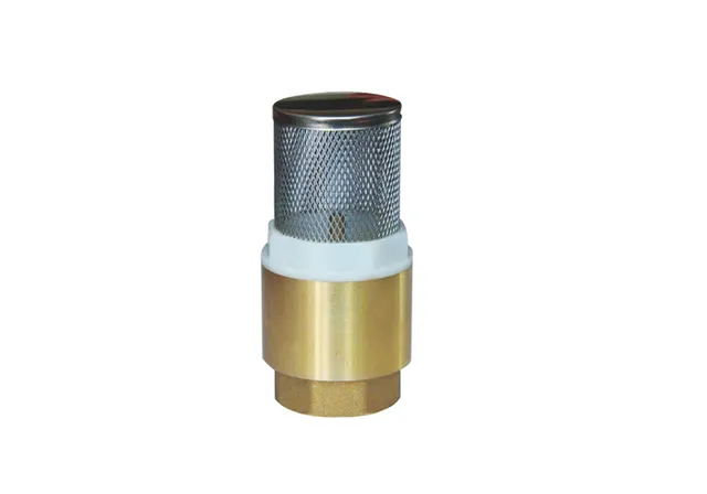 Foot-Valve