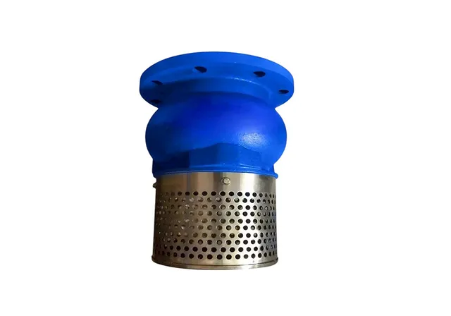 Foot-Valve