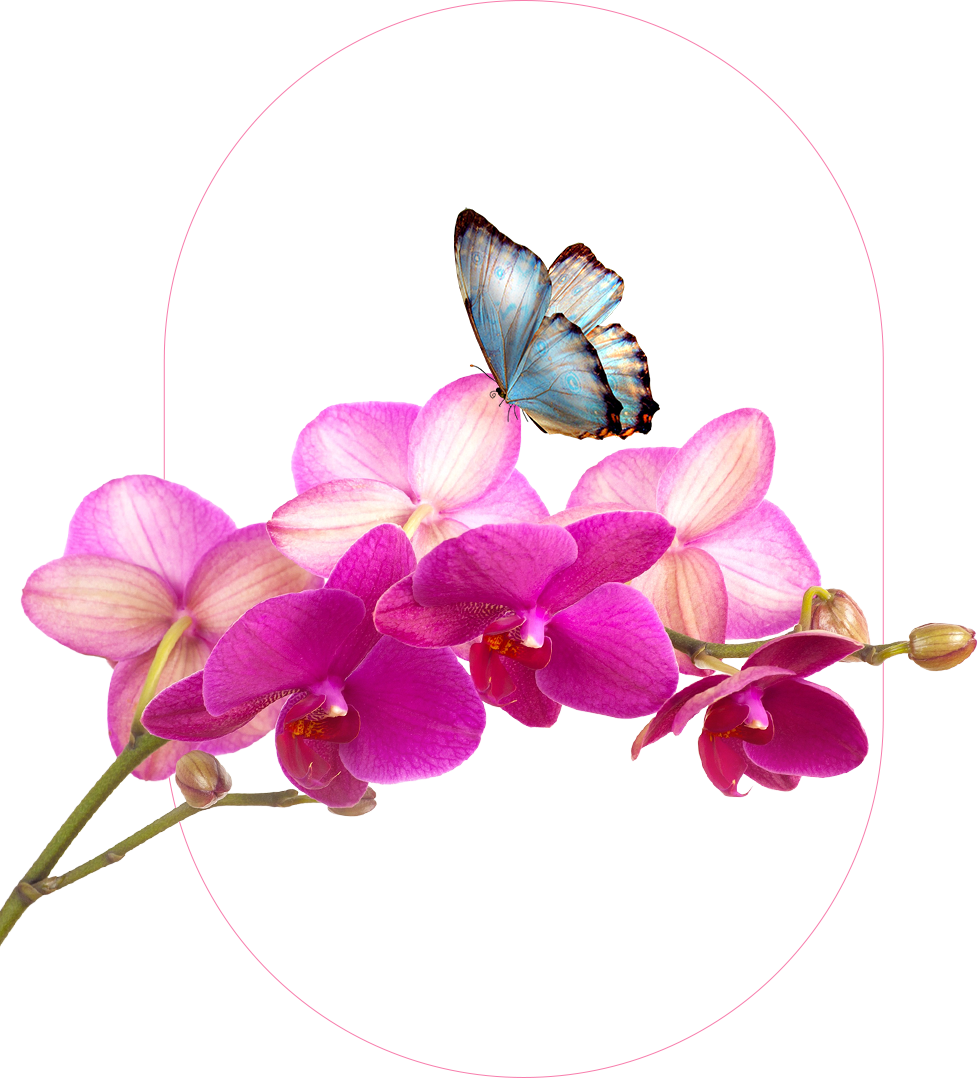 branch image.