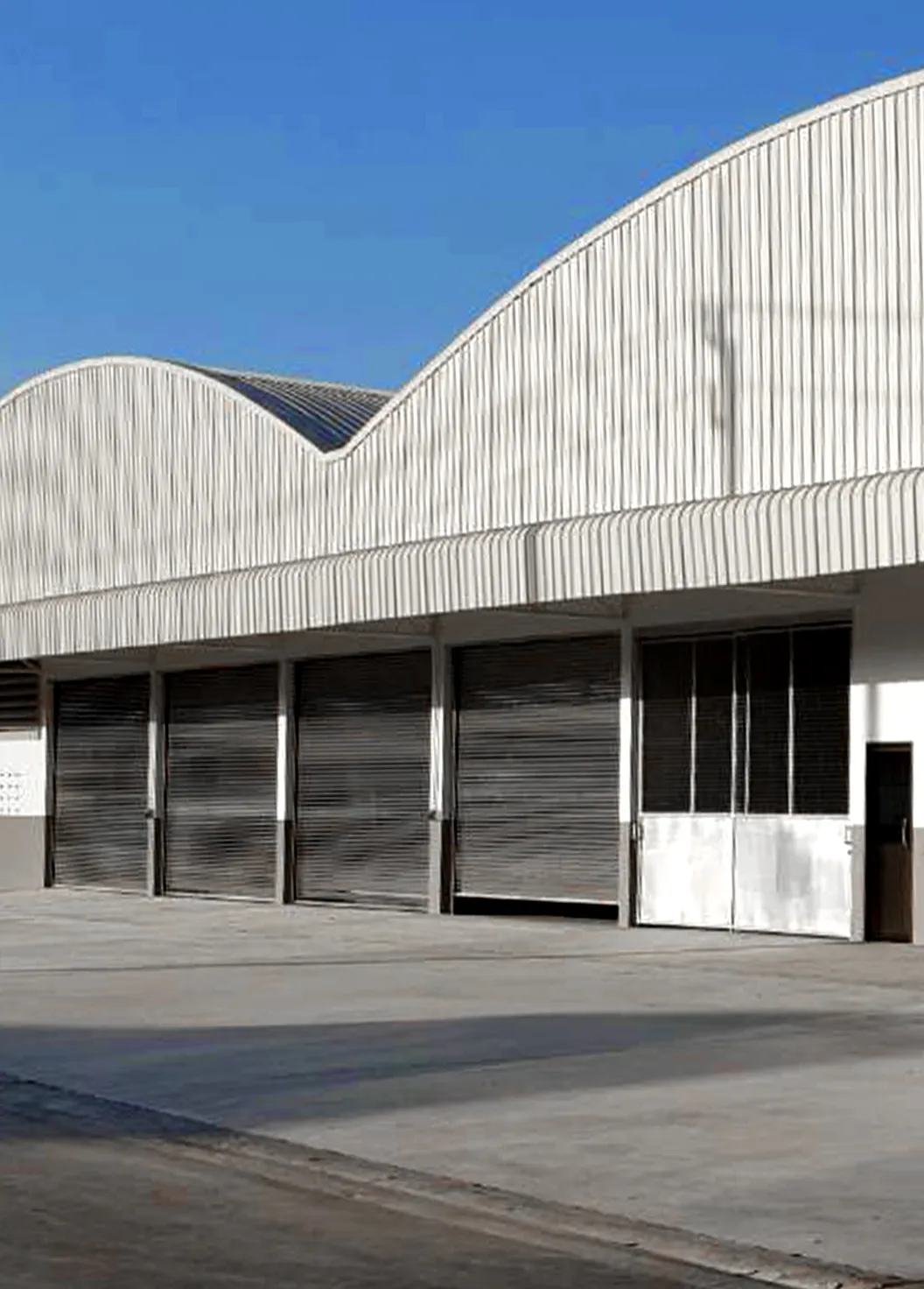 chansaad(2)