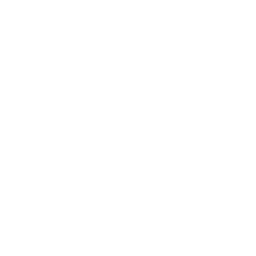 phone(2)