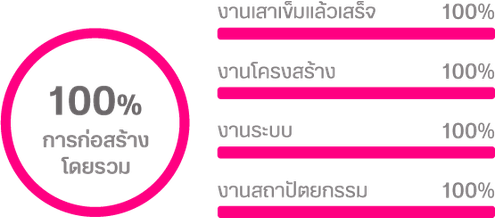 ความคืบหน้าโครงการ-100