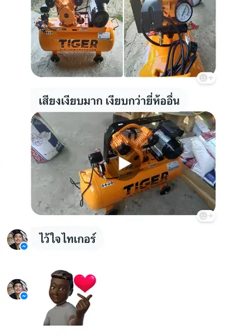 ลงไทเก้อ