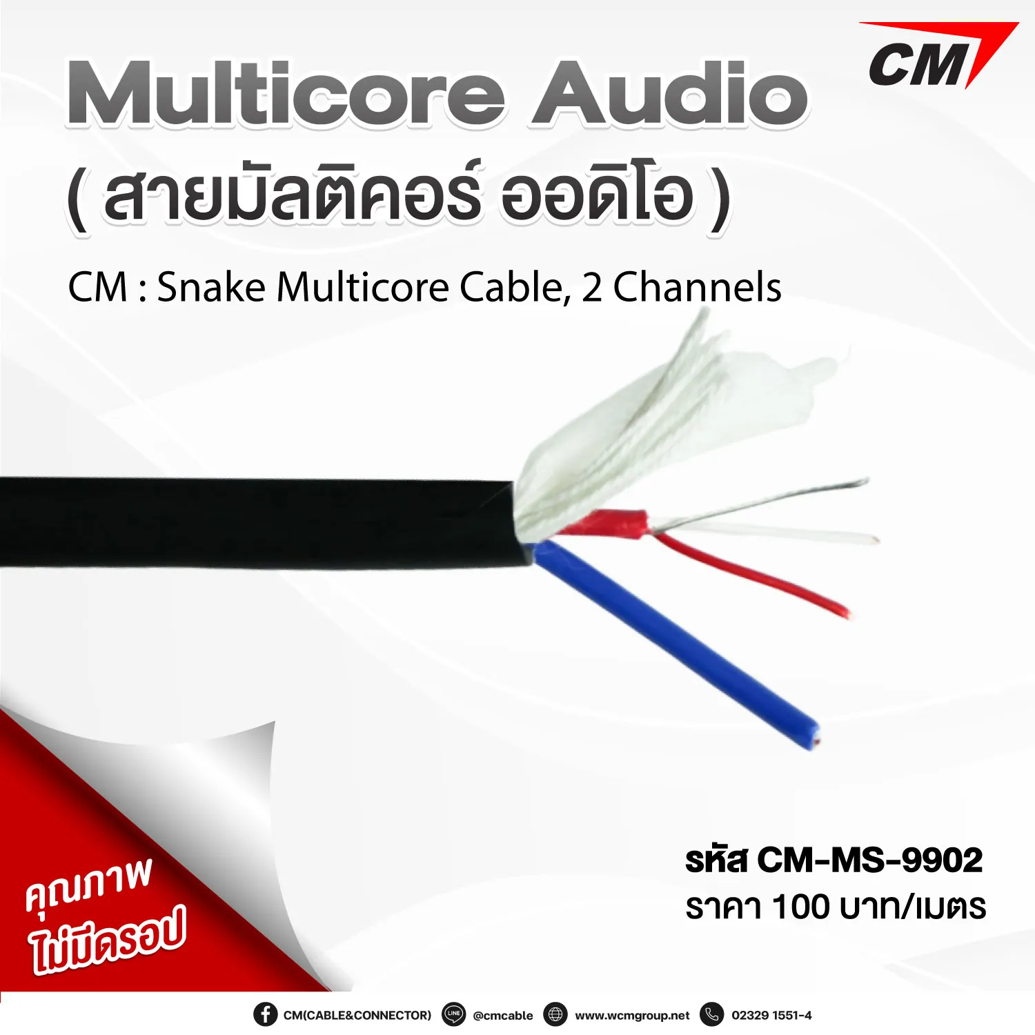 CM : Snake Multicore Cable, 2 Channels