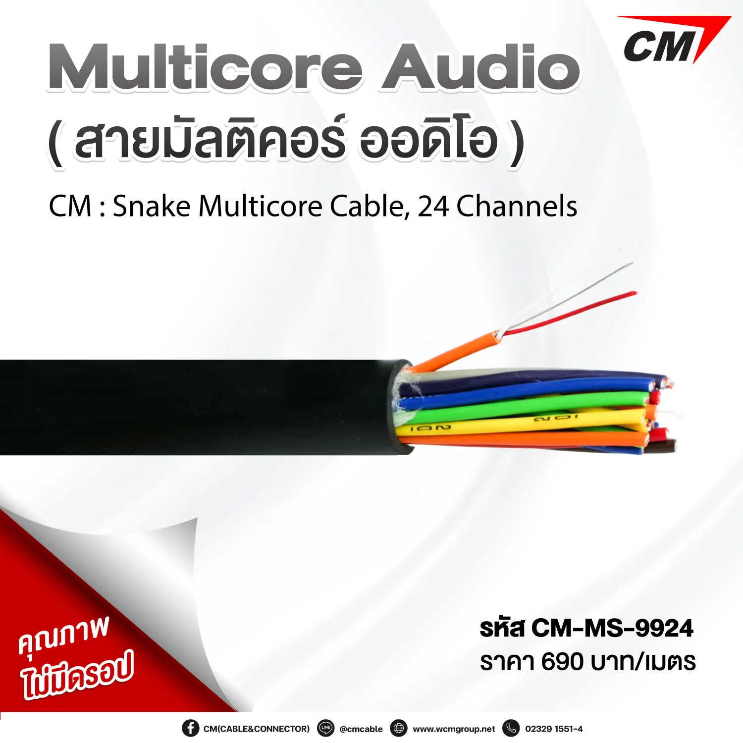 CM : Snake Multicore Cable, 24 Channels