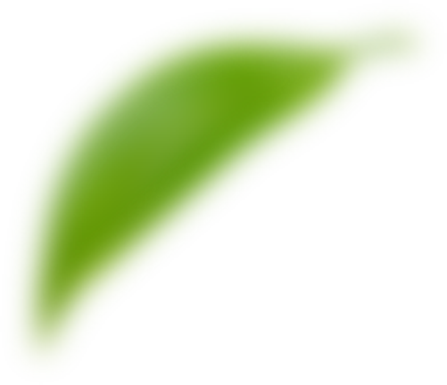 leave01
