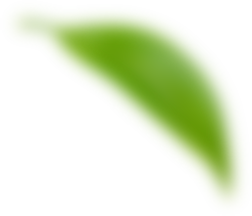 leave02