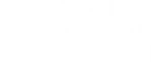 LogoSoftsling