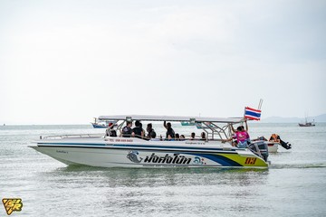 SR-29(49)