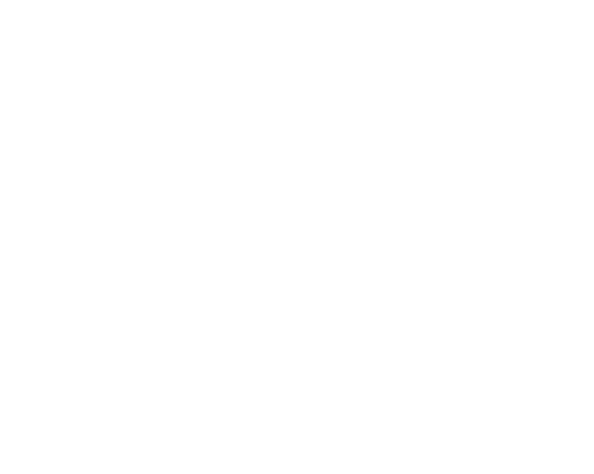 Ronin2000x20001