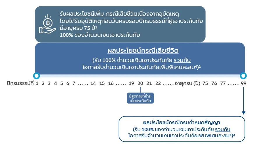 diagram1-my-whole-life-a99-20