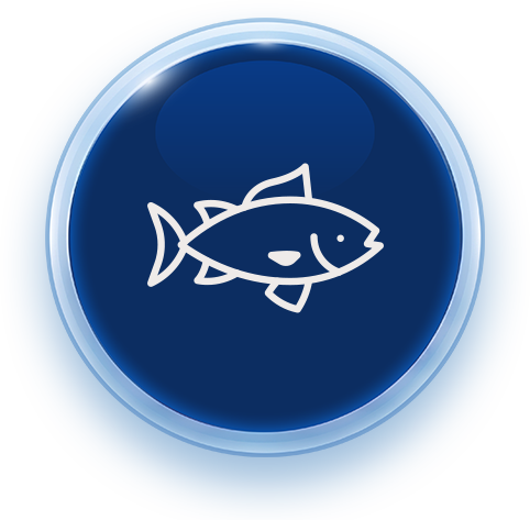 tuna