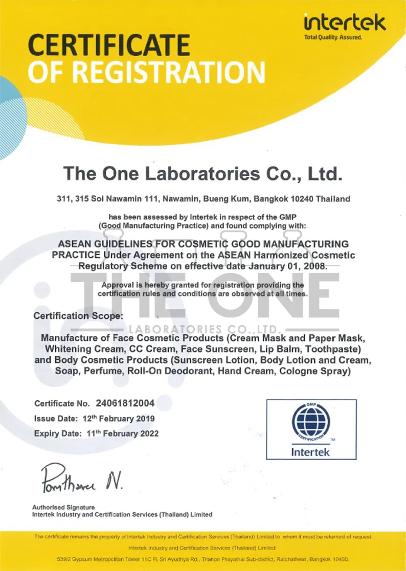 TheONE-GMP