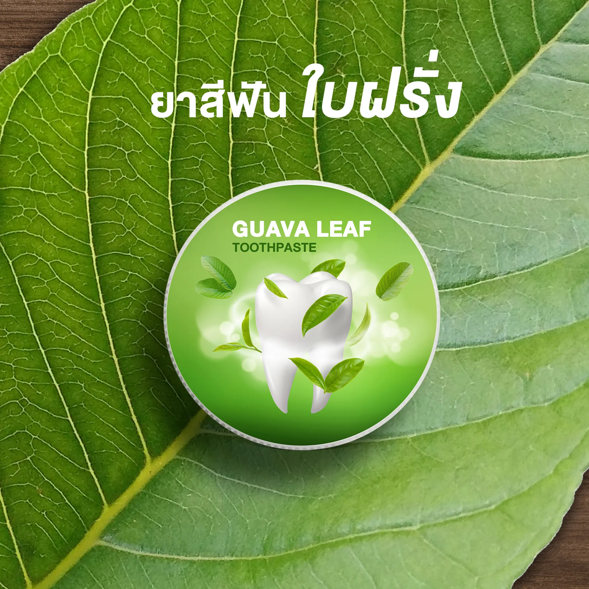 Website-Tester-001