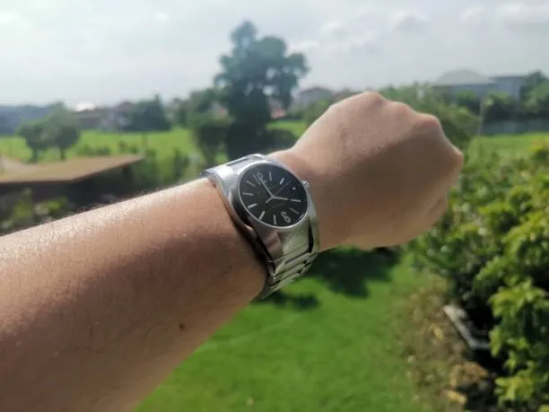 Bvlgari ergon watch top