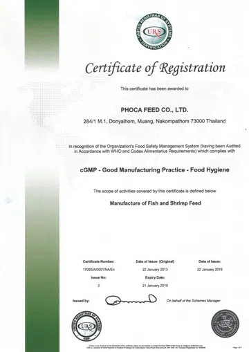 cGMP