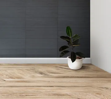 rubber-fig-gray-room