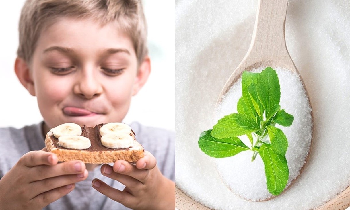 สารสกัดจากหญ้าหวาน,Stevia Extract Powder