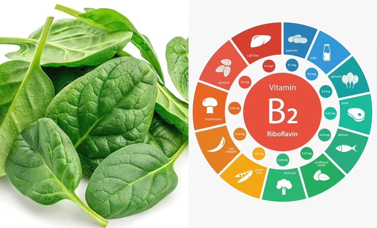 000VitaminB2001113