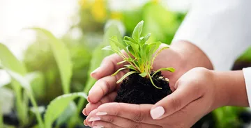 AgricultureRIGHT