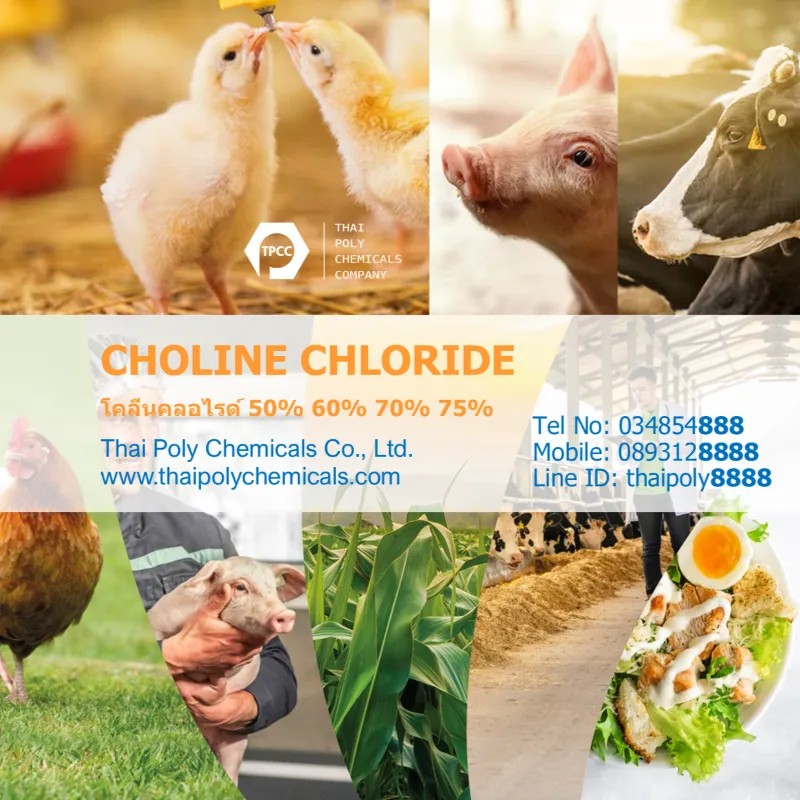 CholineChloride980