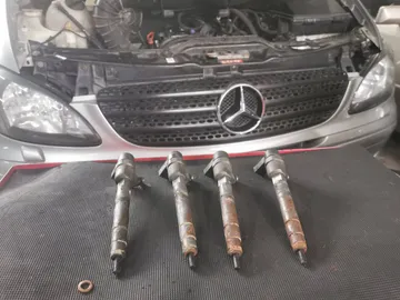 2954600