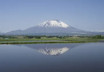 japanese-rice(2)