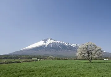 japanese-rice(3)