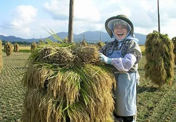 japanese-rice(4)