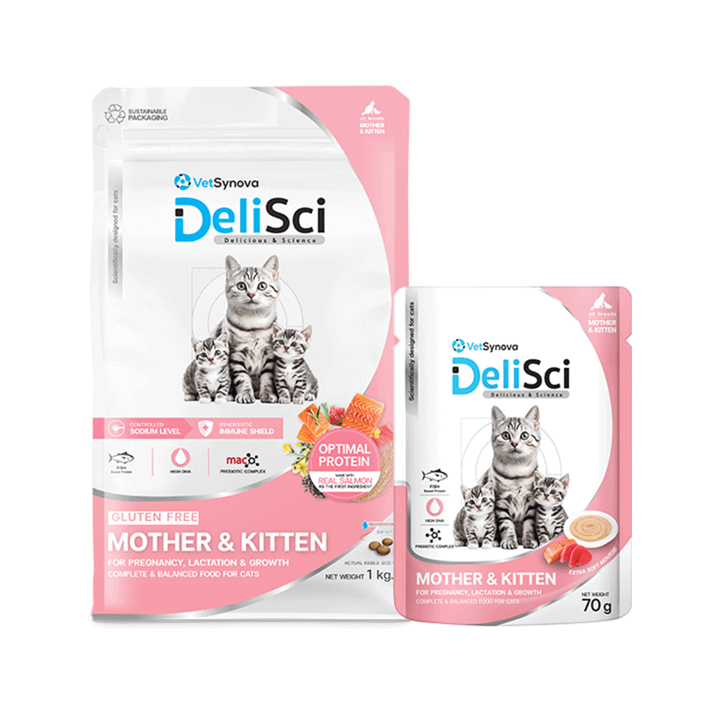 DelisciMotherKitten122