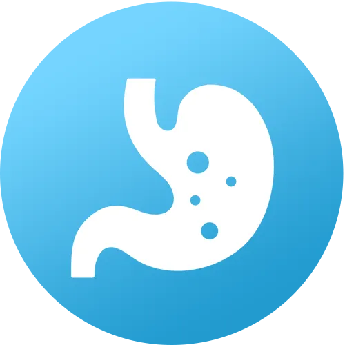 stomach